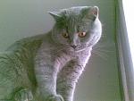     
: 10022011(004).jpg
: 23
:	203.0 
ID:	2286563