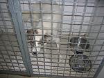     
: DSCN1524.jpg
: 21
:	143.6 
ID:	2288308