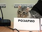     
: d180d0bed0b7d0b0d180d0b8d0be.jpg
: 29
:	61.8 
ID:	2290059