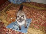     
: P1100028.JPG
: 38
:	62.5 
ID:	229293