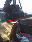     
: 30122010_001.jpg
: 29
:	92.9 
ID:	2298518