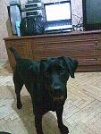     
: 06102010_008.jpg
: 31
:	226.3 
ID:	2298521