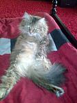     
: Фото072.jpg
: 15
:	104.3 
ID:	2299058