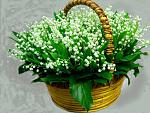     
: landishi.jpg
: 9
:	193.4 
ID:	2302005