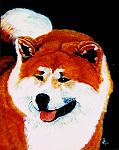     
: 3462439200_4bdb598d60.jpg
: 26
:	134.6 
ID:	2302135