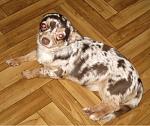     
: IMG_4717.jpg
: 42
:	80.7 
ID:	2305862