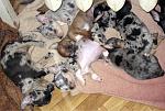     
: IMG_5732.jpg
: 48
:	72.8 
ID:	2305865