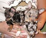     
: IMG_5735.jpg
: 42
:	79.4 
ID:	2305866