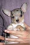     
: IMG_5797.jpg
: 37
:	68.7 
ID:	2305868