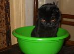    
: кош 001.JPG
: 21
:	150.8 
ID:	2306522