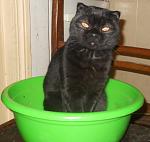     
: кош 007.JPG
: 23
:	224.7 
ID:	2306524