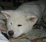     
: 19022011 022-1.jpg
: 49
:	156.4 
ID:	2307068