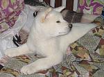     
: 19022011 024-1.jpg
: 56
:	203.2 
ID:	2307073