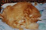     
: IMG_3845.jpg
: 42
:	143.3 
ID:	2307361
