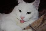     
: IMG_3997.jpg
: 42
:	76.6 
ID:	2307365
