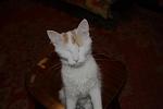     
: IMG_4057.jpg
: 42
:	48.7 
ID:	2307366