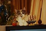     
: IMG_3763.jpg
: 38
:	95.0 
ID:	2307367