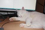     
: IMG_4052.jpg
: 30
:	69.9 
ID:	2307387