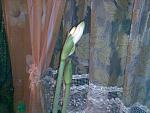     
: lichnoe 172.jpg
: 16
:	108.9 
ID:	230759