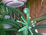    
: lichnoe 166.jpg
: 98
:	98.7 
ID:	230789
