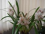     
: fh11-3.jpg
: 72
:	140.7 
ID:	2310079