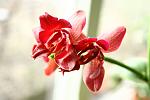     
: fh24-2.jpg
: 28
:	142.4 
ID:	2310134