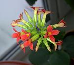     
: fh28-2.jpg
: 17
:	100.8 
ID:	2310151