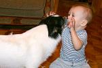     
: zv11-1.jpg
: 117
:	107.1 
ID:	2310314