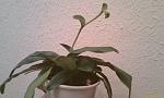     
: IMAG0677.jpg
: 32
:	102.0 
ID:	2310863
