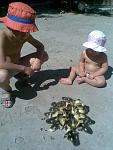     
: zv70-1.jpg
: 90
:	91.1 
ID:	2311410