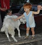     
: zv80-1.jpg
: 39
:	112.3 
ID:	2311473