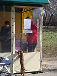     
: zv83-2.jpg
: 40
:	99.3 
ID:	2311488
