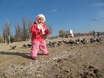     
: zv87-1.jpg
: 28
:	168.7 
ID:	2311495