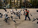     
: zv88-2.jpg
: 34
:	254.8 
ID:	2311511