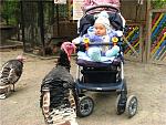     
: zv89-3.jpg
: 40
:	94.8 
ID:	2311513