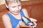     
: zv94-3.jpg
: 38
:	265.2 
ID:	2311546