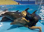     
: zv94-2.jpg
: 52
:	285.2 
ID:	2311548