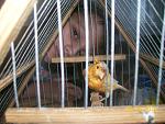    
: zv102-1.jpg
: 28
:	141.7 
ID:	2311590