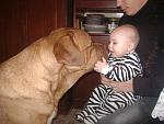     
: zv109-2.jpg
: 72
:	140.1 
ID:	2311700