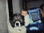     
: zv115-2.jpg
: 72
:	246.4 
ID:	2311720