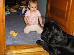     
: zv117-3.jpg
: 38
:	160.2 
ID:	2311728
