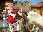     
: zv128-3.jpg
: 86
:	205.7 
ID:	2311789