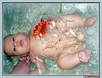     
: voda62_2.jpg
: 71
:	152.4 
ID:	2312479