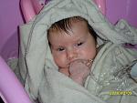     
: voda152_1.jpg
: 18
:	117.2 
ID:	2312798