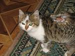     
: IMG_5929.jpg
: 113
:	185.7 
ID:	2312969