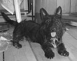     
: IMG_4708л.jpg
: 74
:	140.7 
ID:	2317408