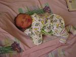     
: son106 - .JPG
: 142
:	203.6 
ID:	2317826