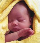     
: son112 - 5.jpg
: 26
:	288.3 
ID:	2317874