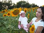     
: son141 - .jpg
: 77
:	269.7 
ID:	2317999