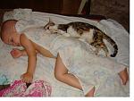     
: son146 - 1.jpg
: 48
:	78.6 
ID:	2318030